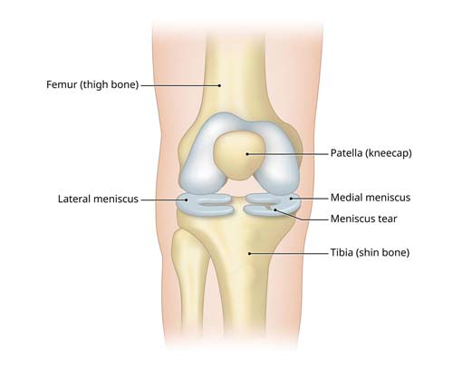 Physiotherapy